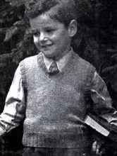Boy's Sleeveless Sweater Pattern