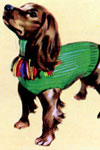 punchinello dog sweater