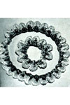 Shell Necklace and Bracelet pattern