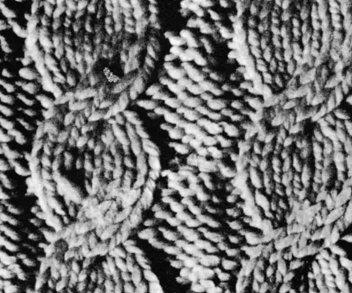 Carriage Trade Afghan Pattern #B-141